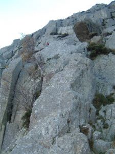 Milestone Buttress