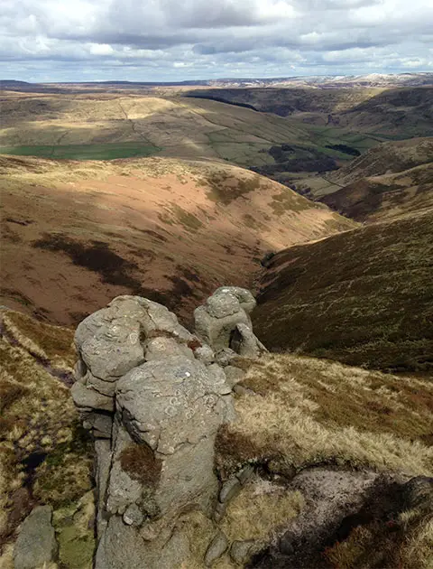 The top of Blacken Brook at Seal Stones