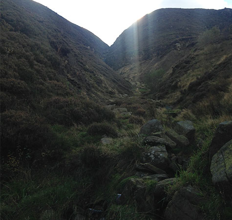 In the clough bed