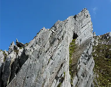 Cneifon Arete