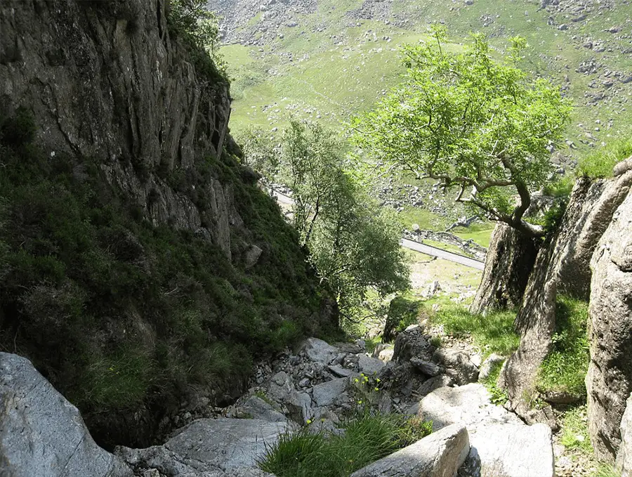 Looking back out of Bryant's Gully